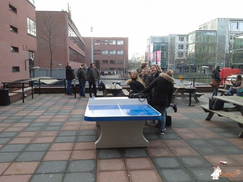 Hogeschool Tio uit Amsterdam