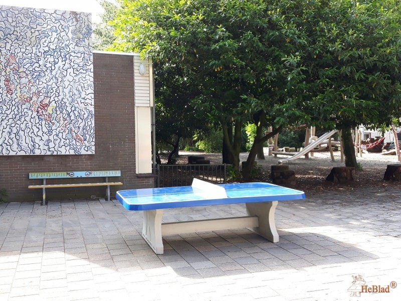 Montessori Boven t IJ uit Amsterdam Noord