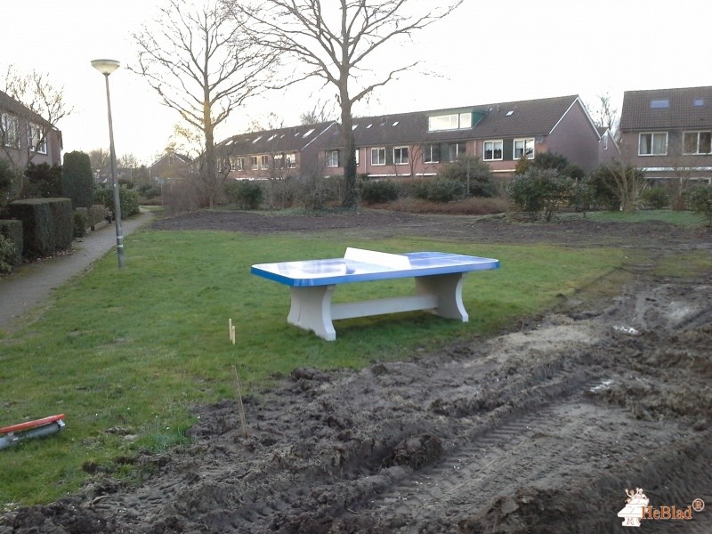 Gemeente Blaricum uit Blaricum