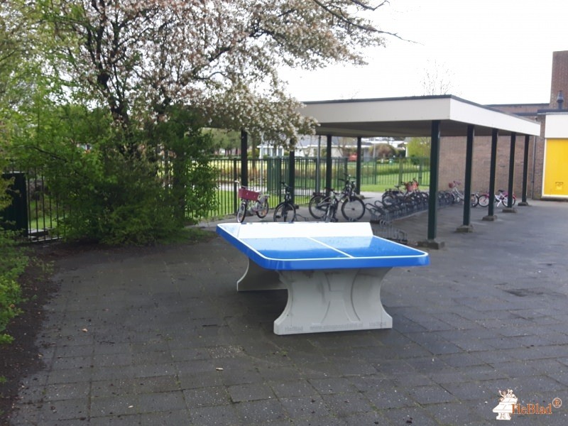 Stichting de Molenwiek uit Blijham