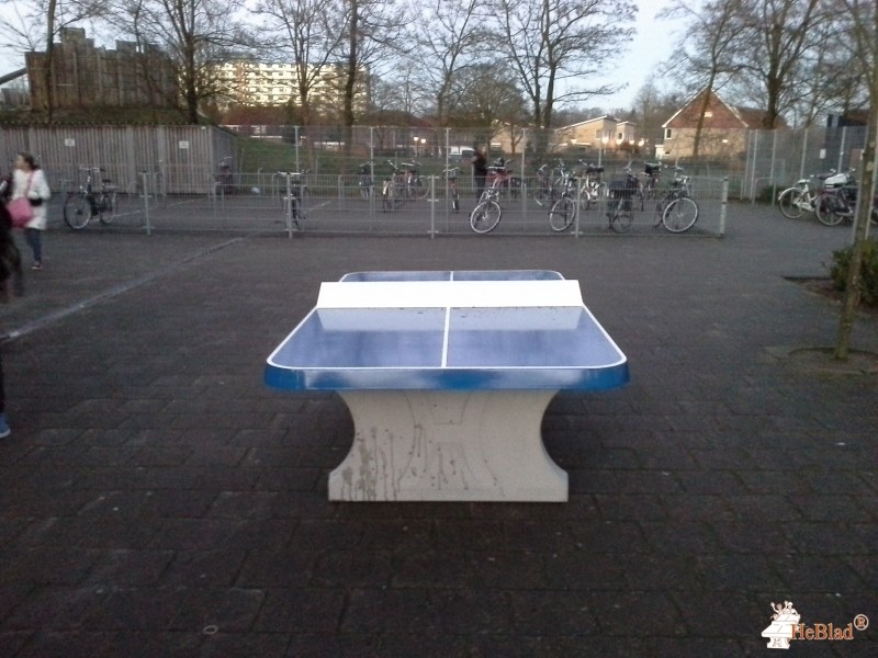 Bonhoeffer College uit Enschede