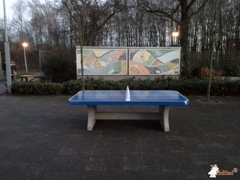 Bonhoeffer College uit Enschede