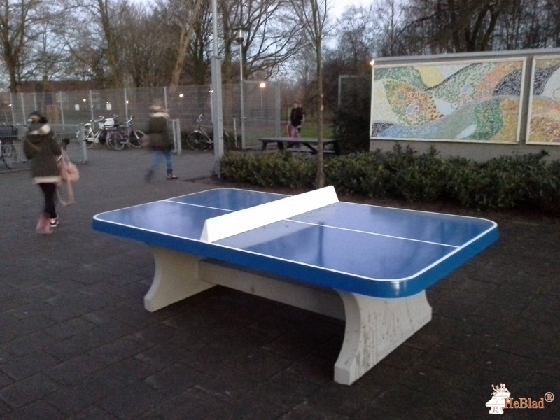 Bonhoeffer College uit Enschede
