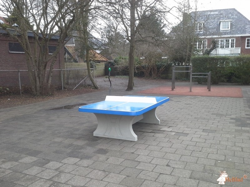 Montessori school uit Haarlem