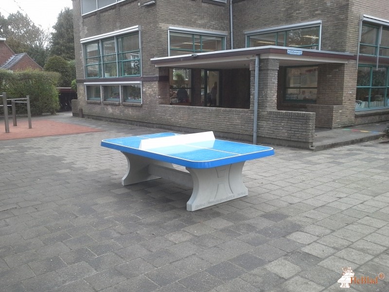 Montessori school uit Haarlem