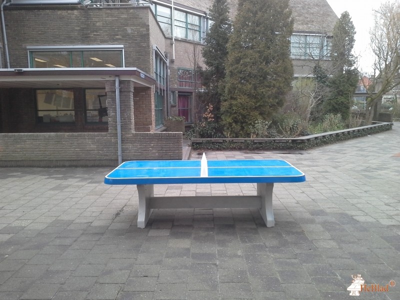 Montessori school uit Haarlem