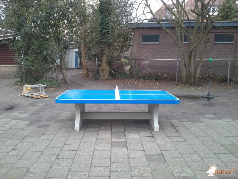 Montessori school uit Haarlem