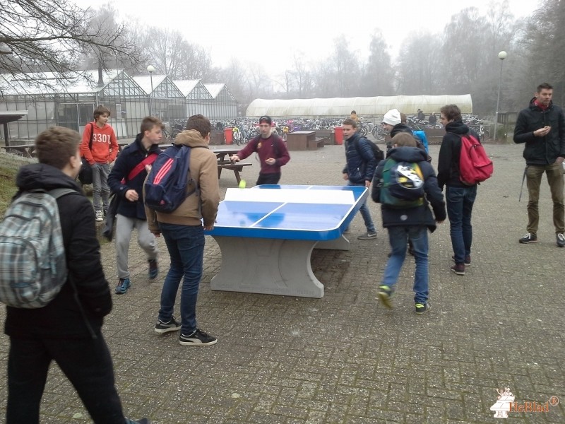 Wellantcollege Naarden uit Naarden