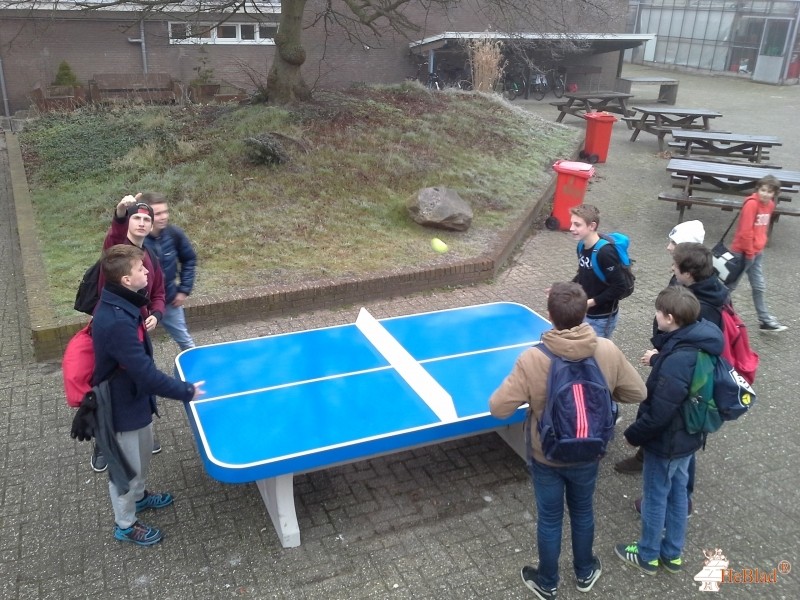 Wellantcollege Naarden uit Naarden
