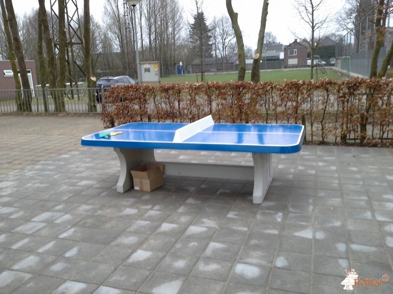 Basisschool Walburgis uit Netterden