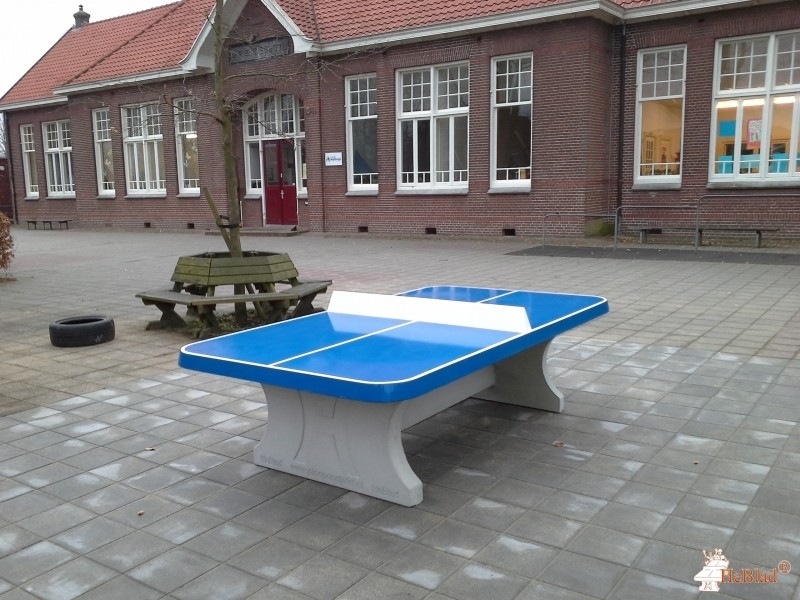 Basisschool Walburgis uit Netterden