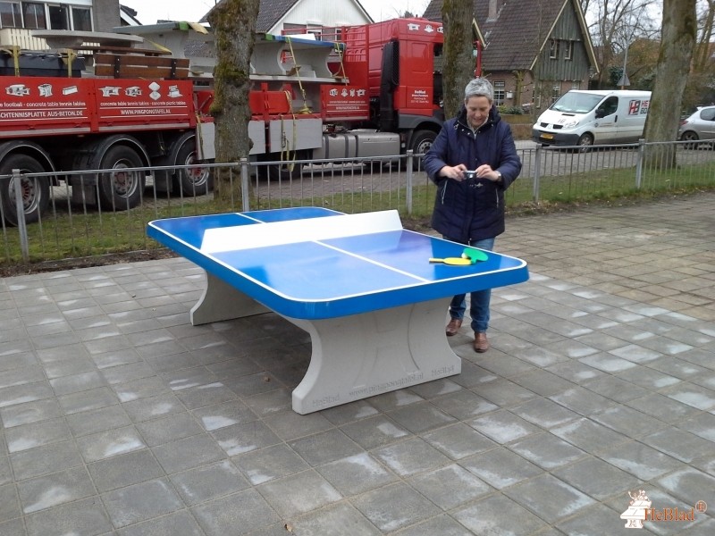 Basisschool Walburgis uit Netterden