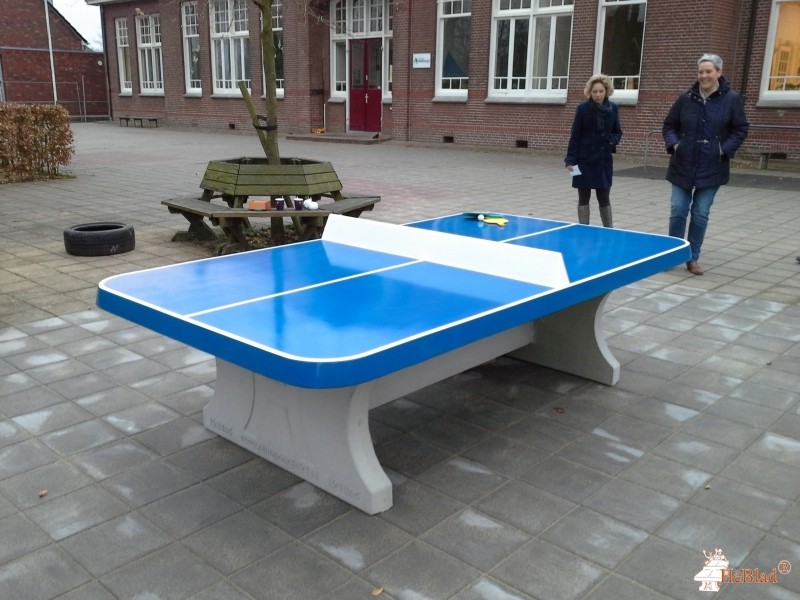Basisschool Walburgis uit Netterden