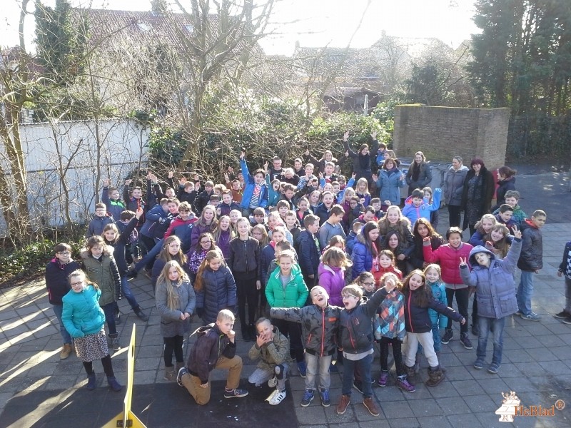 Tweemaster - Kameleon uit Oost-Souburg