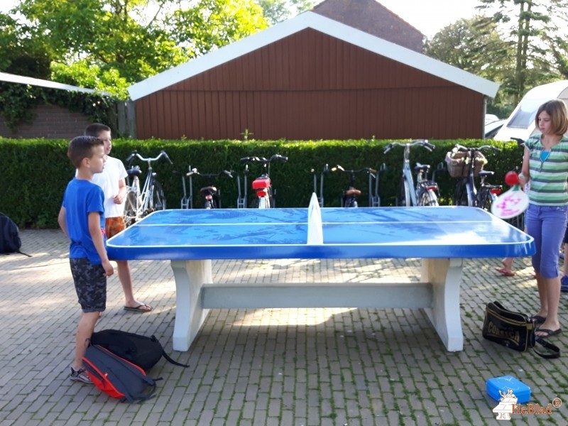 OBS it Leech uit Pingjum
