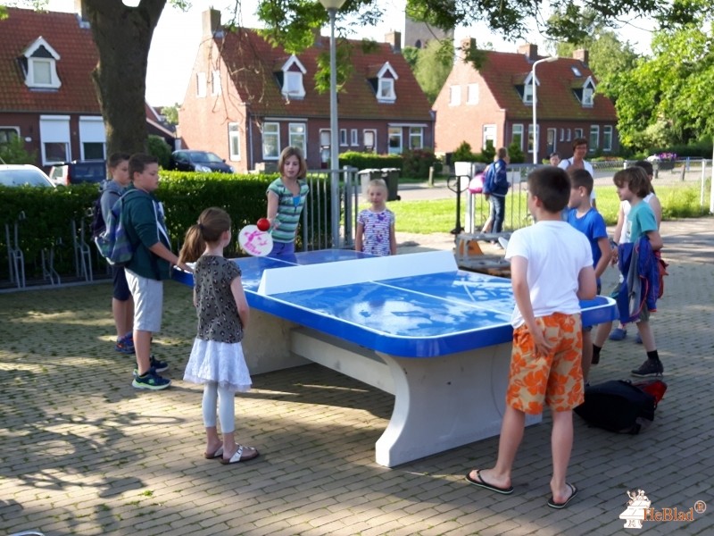 OBS it Leech uit Pingjum