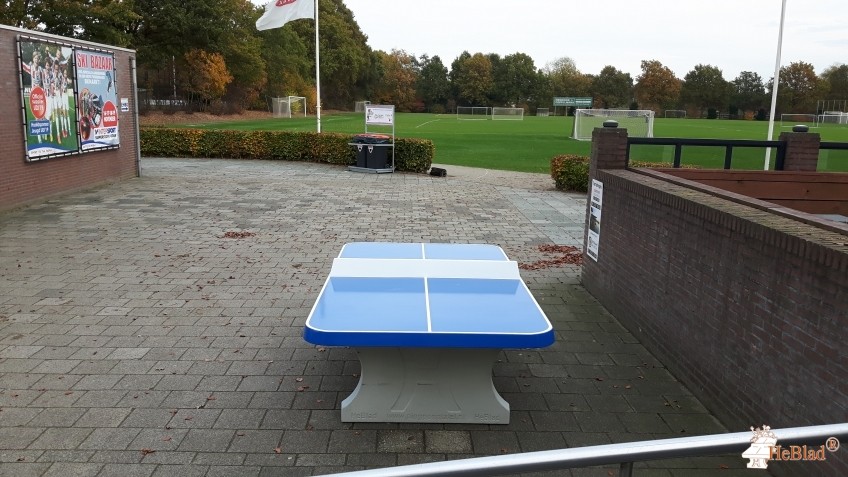 RKSV  UDI'19 uit Uden