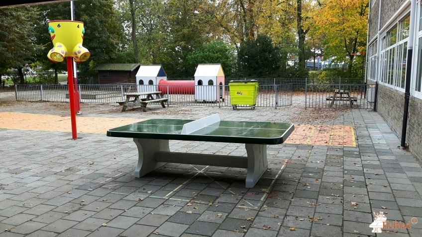 BS Benjamin uit Brunssum