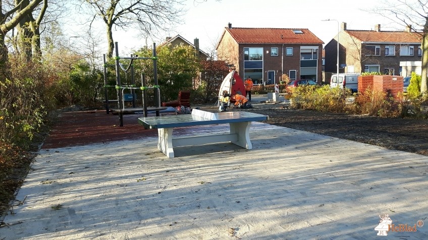 Gemeente Westland uit De Lier