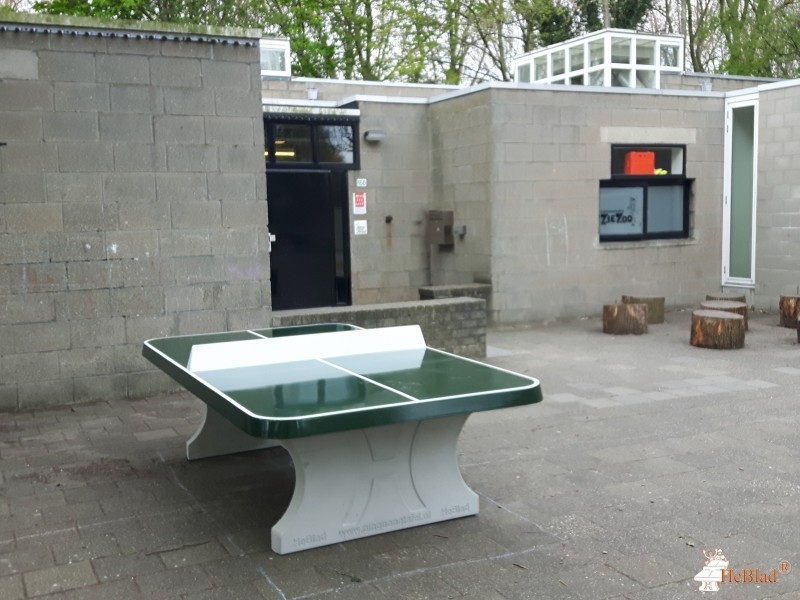 Delftse Montessorischool uit Delft