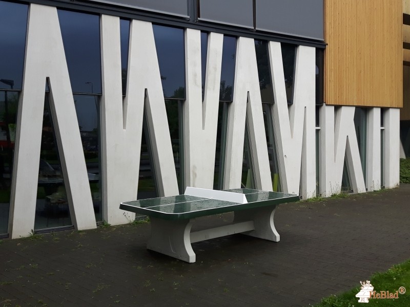 De Tender in Dieren uit Dieren