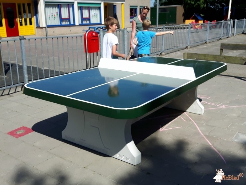 CBS de Springplanke uit Engwierum