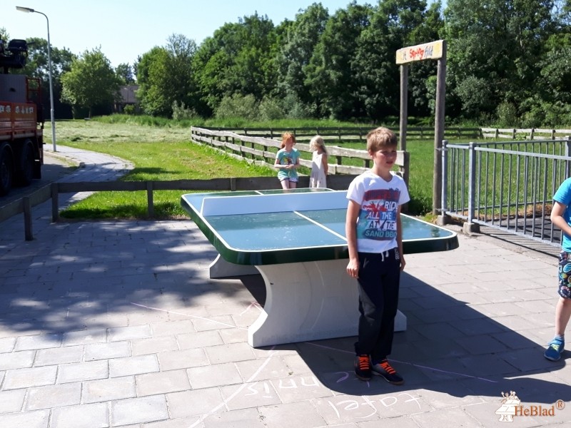 CBS de Springplanke uit Engwierum