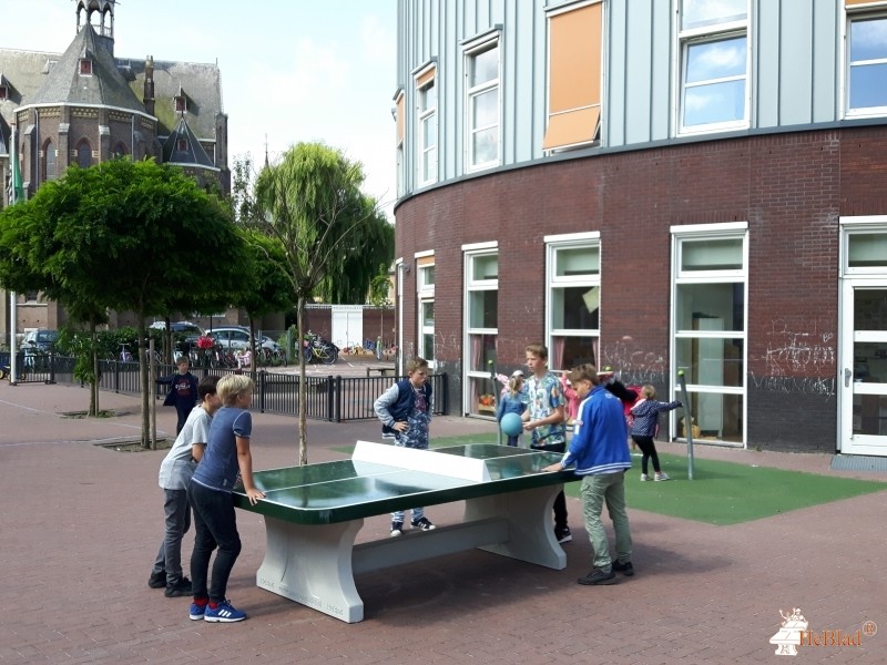 Basisschool de Ark uit Haarlem