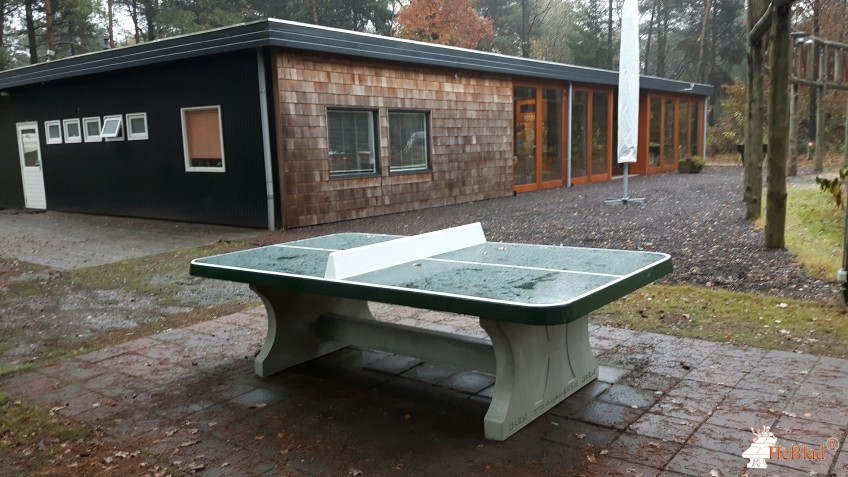 Harskamperdennen uit Kootwijk