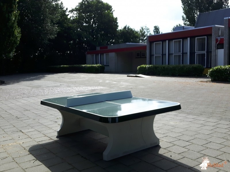 De Leeuwerik uit Lewedorp