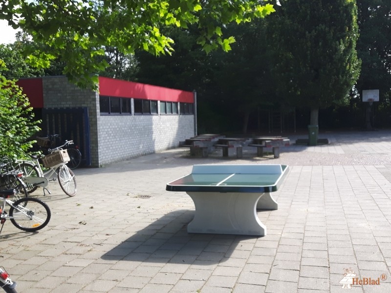 De Leeuwerik uit Lewedorp