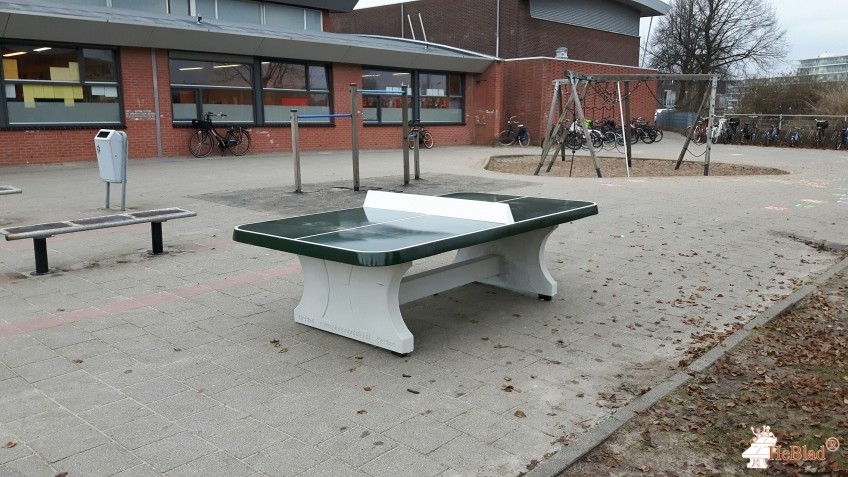 oec.bs De Marimba uit Purmerend