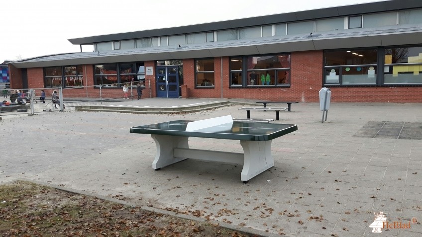 oec.bs De Marimba uit Purmerend