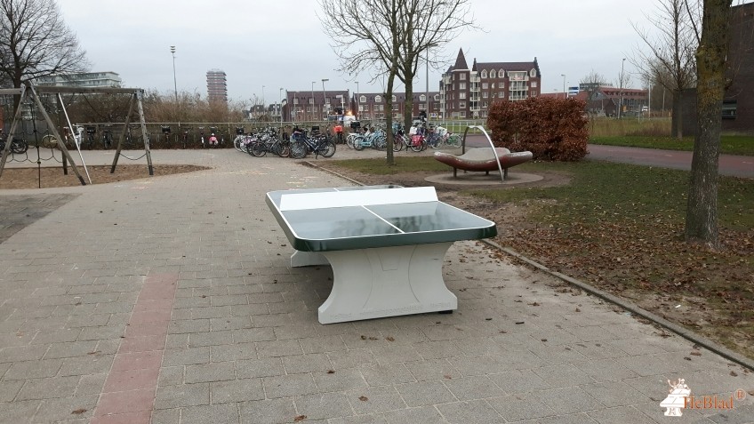 oec.bs De Marimba uit Purmerend
