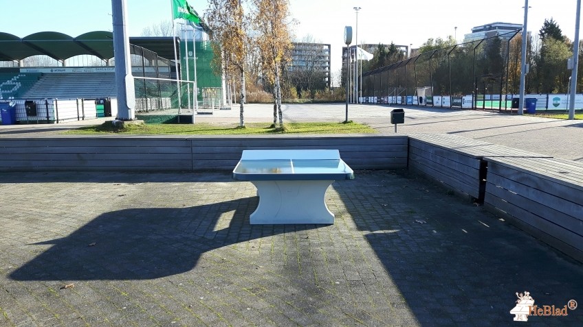HC Rotterdam uit Rotterdam