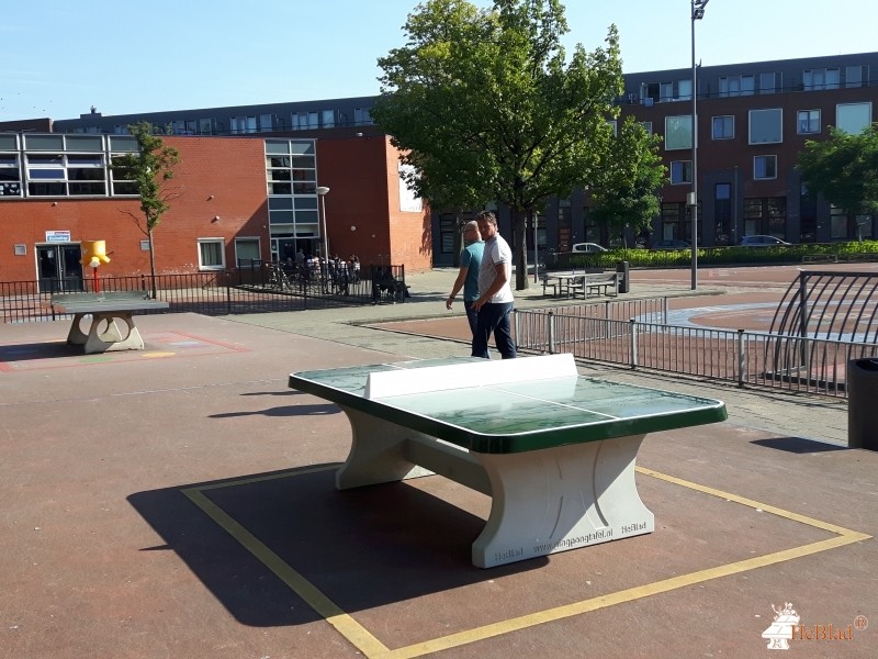 Valentijnschool Dependance uit Rotterdam