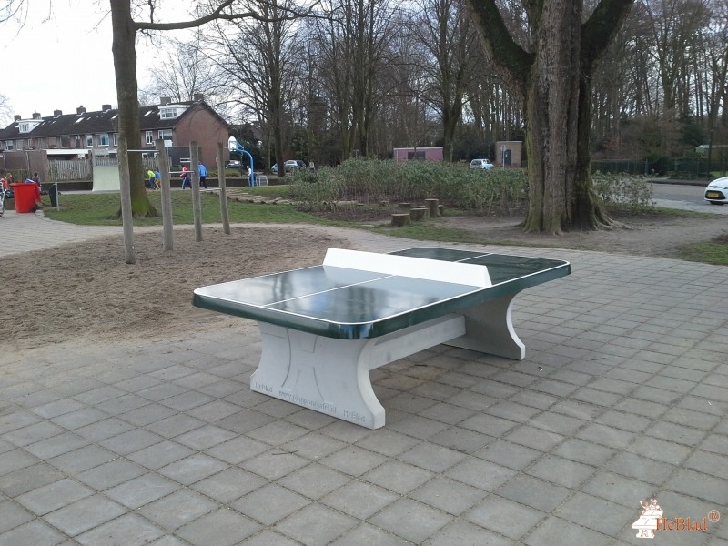 Basisschool De Touwladder uit Sint Michielsgestel