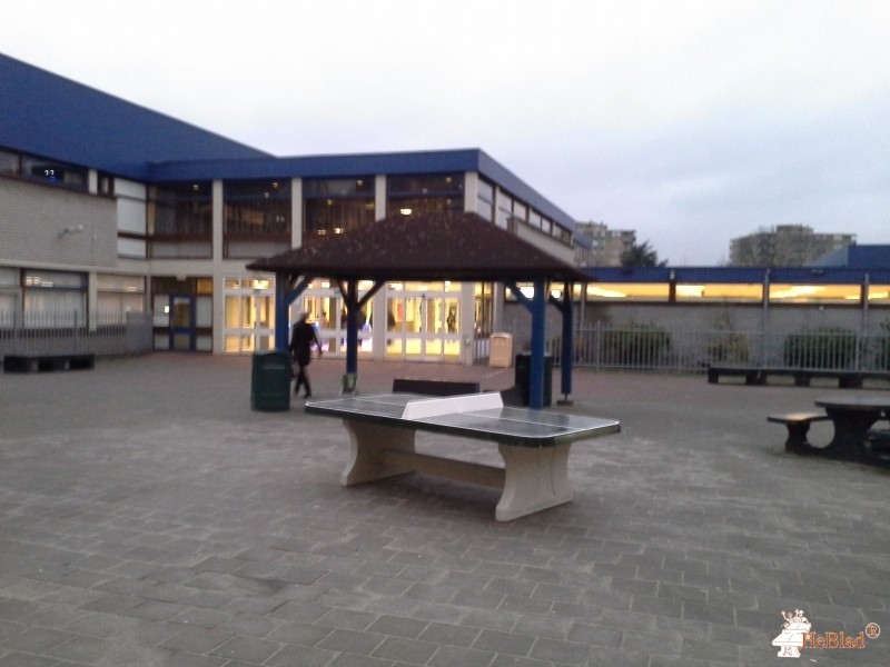Stedelijk College Zoetermeer uit Zoetermeer