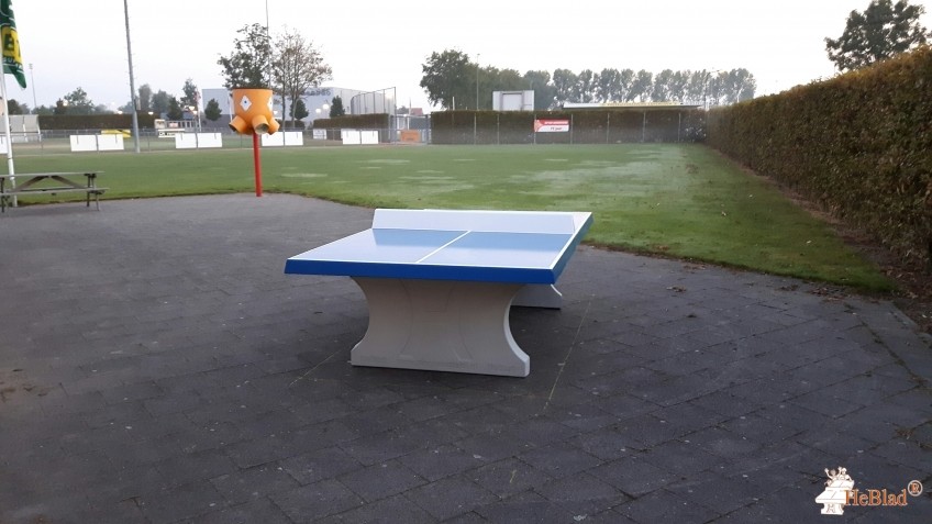 K.V. TOP Arnemuiden uit Arnemuiden