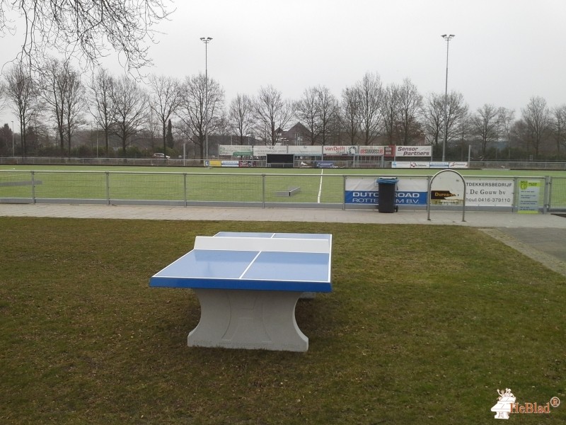 Afdeling MHCD Mixed Hockey Club Drunen  uit Drunen