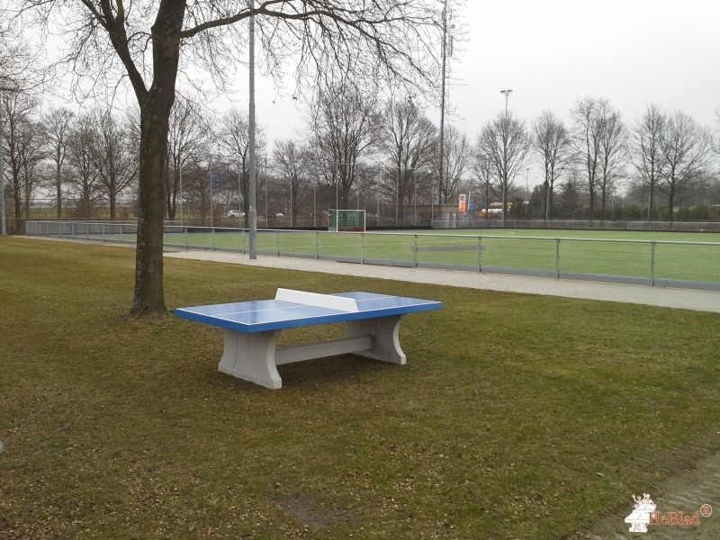 Afdeling MHCD Mixed Hockey Club Drunen  uit Drunen
