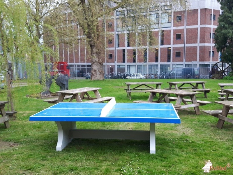 Maastricht University, Nabij het Kruithuis uit Maastricht