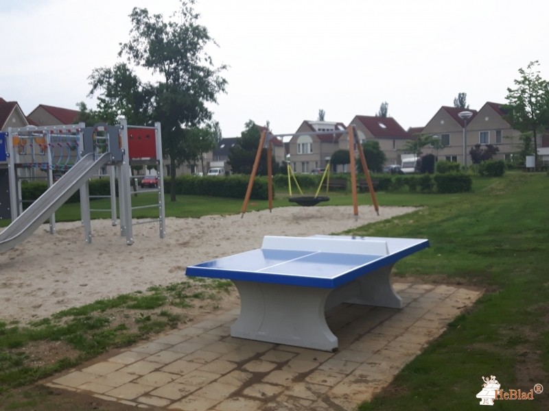 Donkergroen uit Roermond