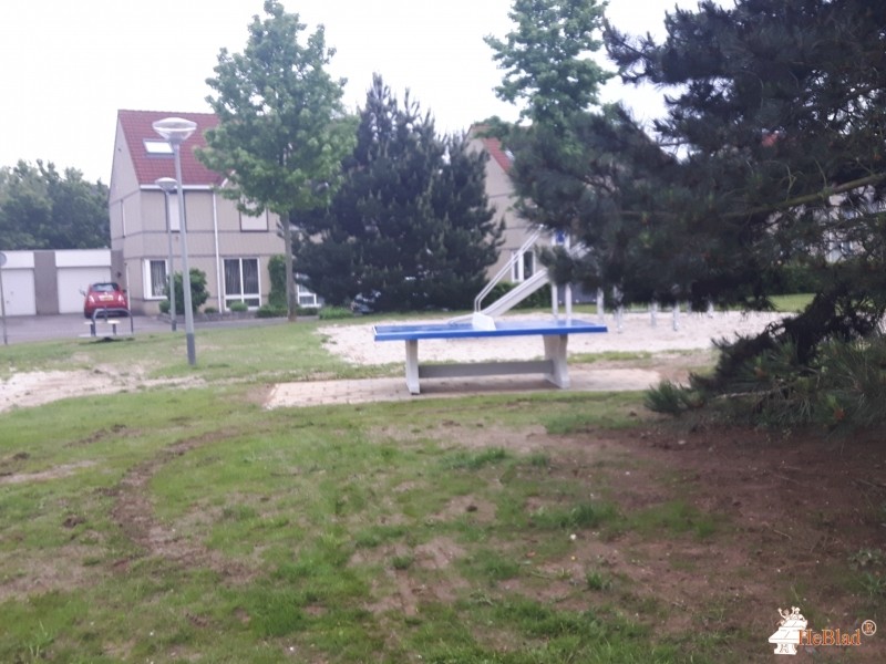 Donkergroen uit Roermond