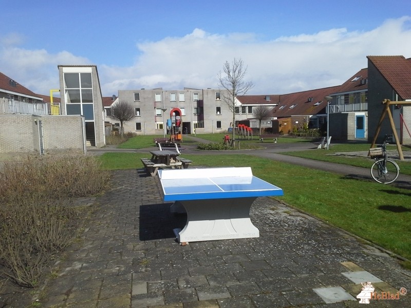 Buurtvereniging De Vrije Vogels uit Urk