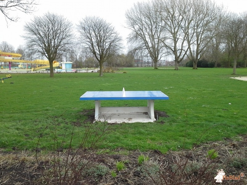 Zwembad De Waterdam uit Volendam