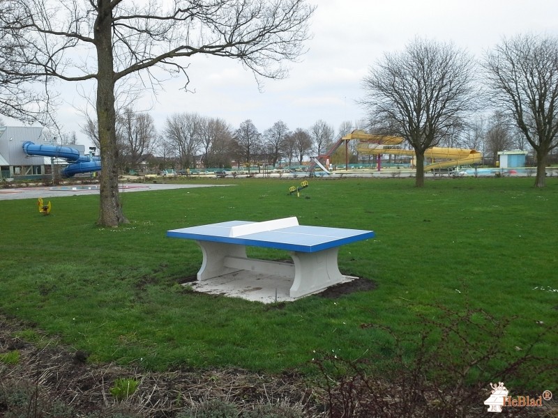 Zwembad De Waterdam uit Volendam