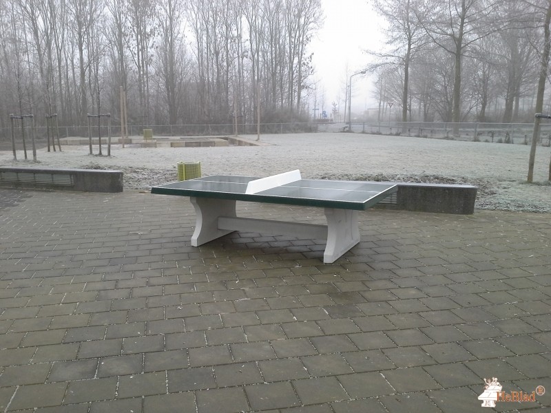 PrO Almere uit Almere