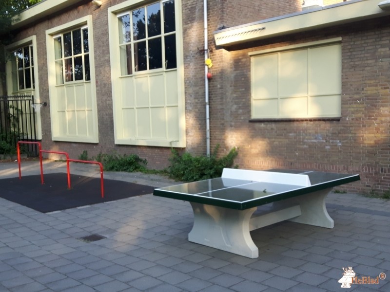 Tamarschool uit Den Haag