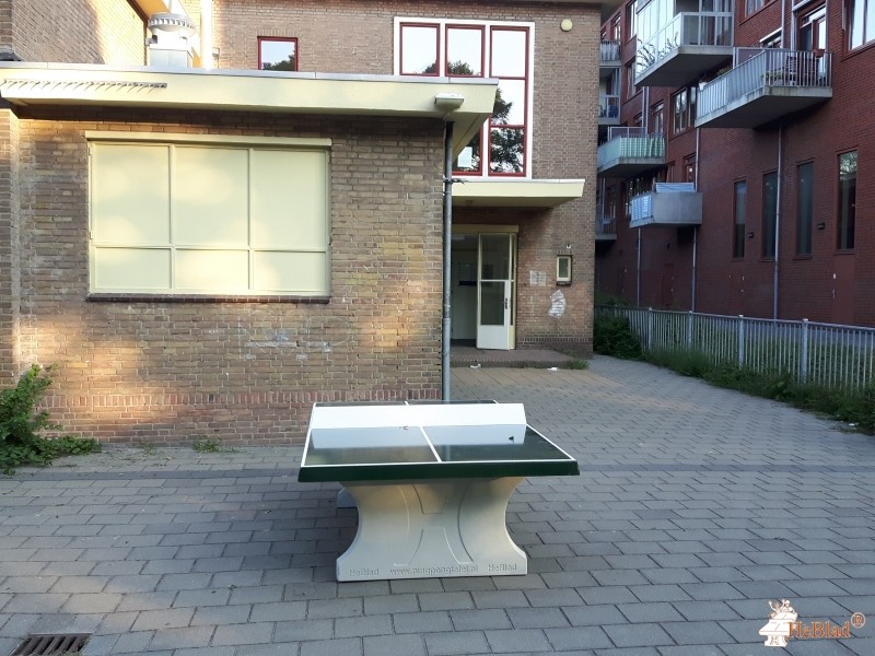 Tamarschool uit Den Haag